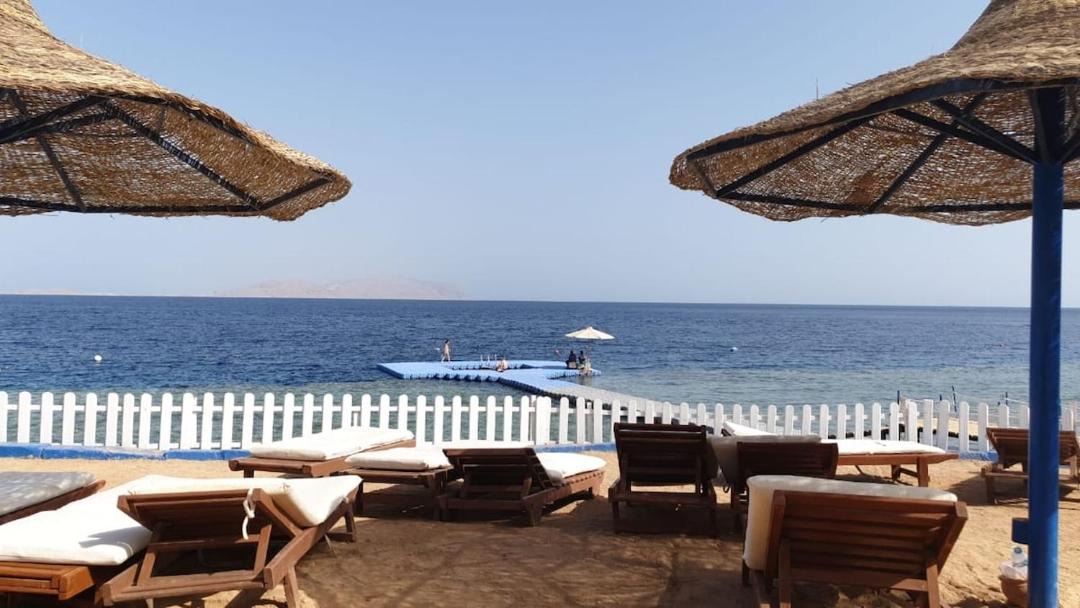 Photo of Others in Sharm El Sheikh