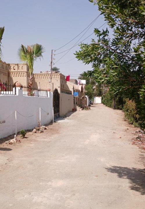 Photo of Others in Luxor