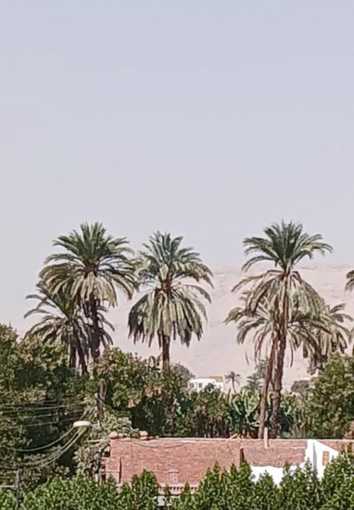 Photo of Others in Luxor