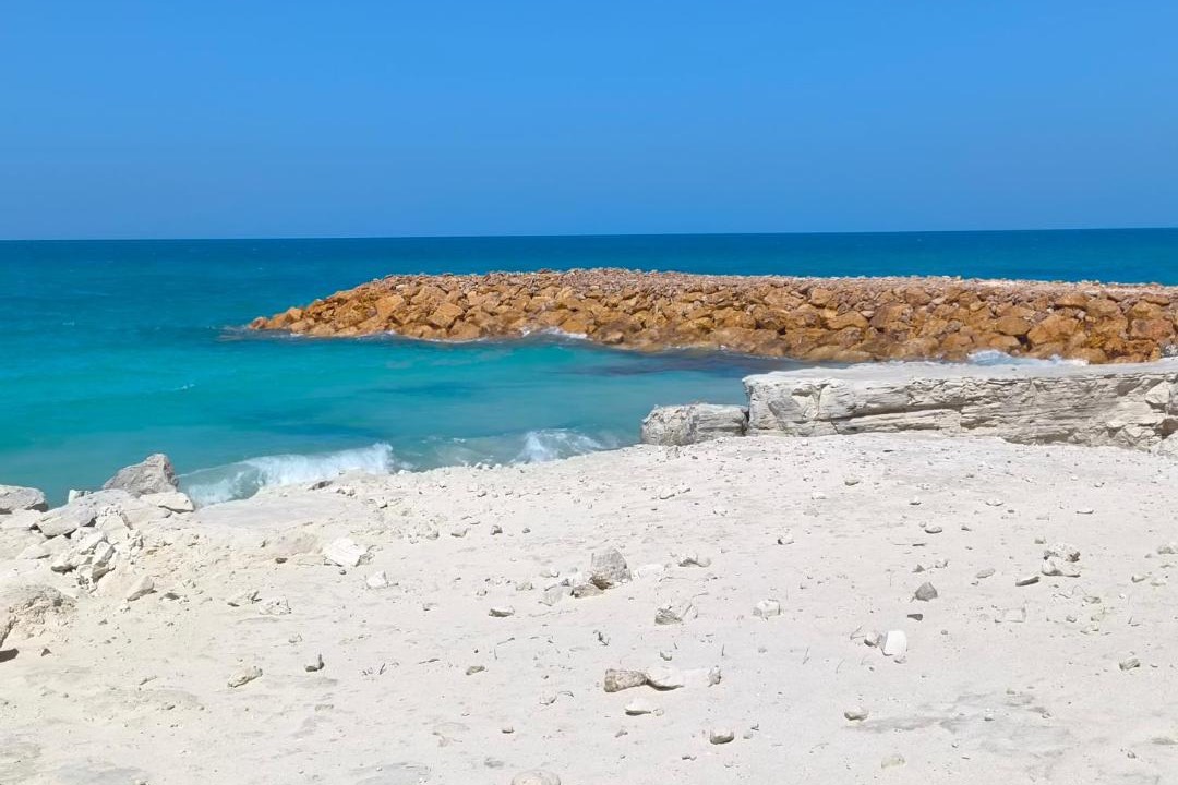 Photo of Others in Marina El Alamein
