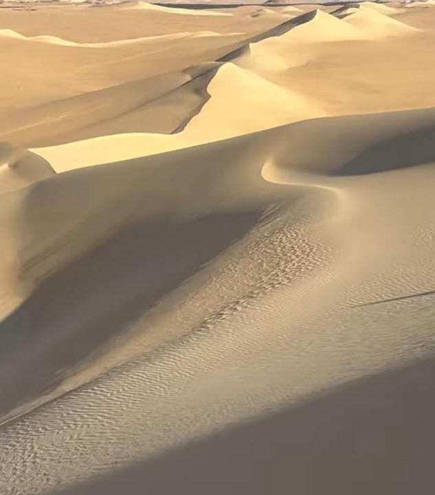 Photo of Others in Siwa