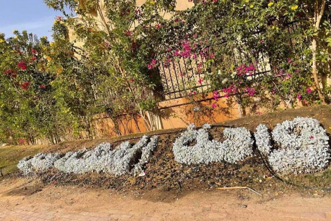 Photo of Others in 6th of October City