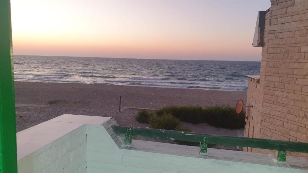 Photo of Others in Al Arish