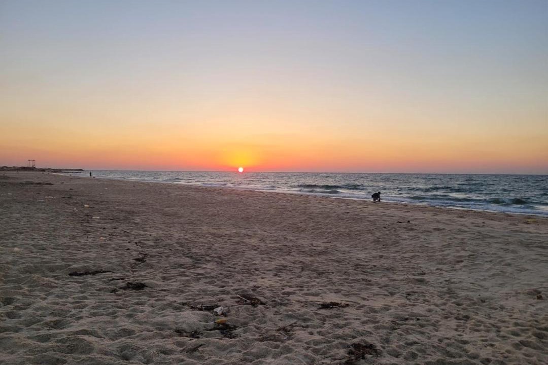 Photo of Others in Al Arish