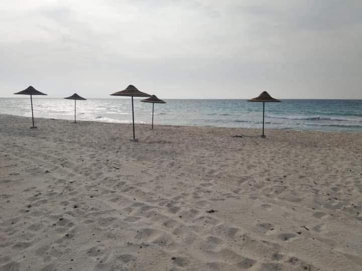 Photo of Others in Borg el Arab