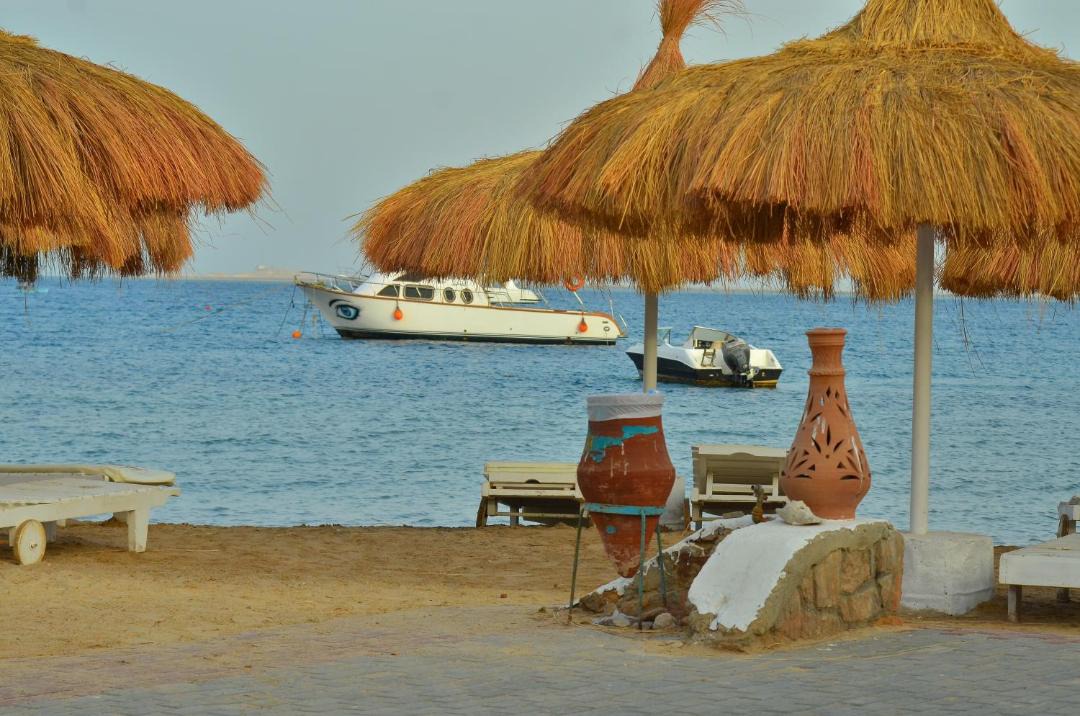 Photo of Others in Safaga