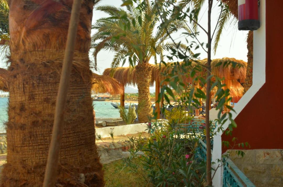 Photo of Others in Safaga