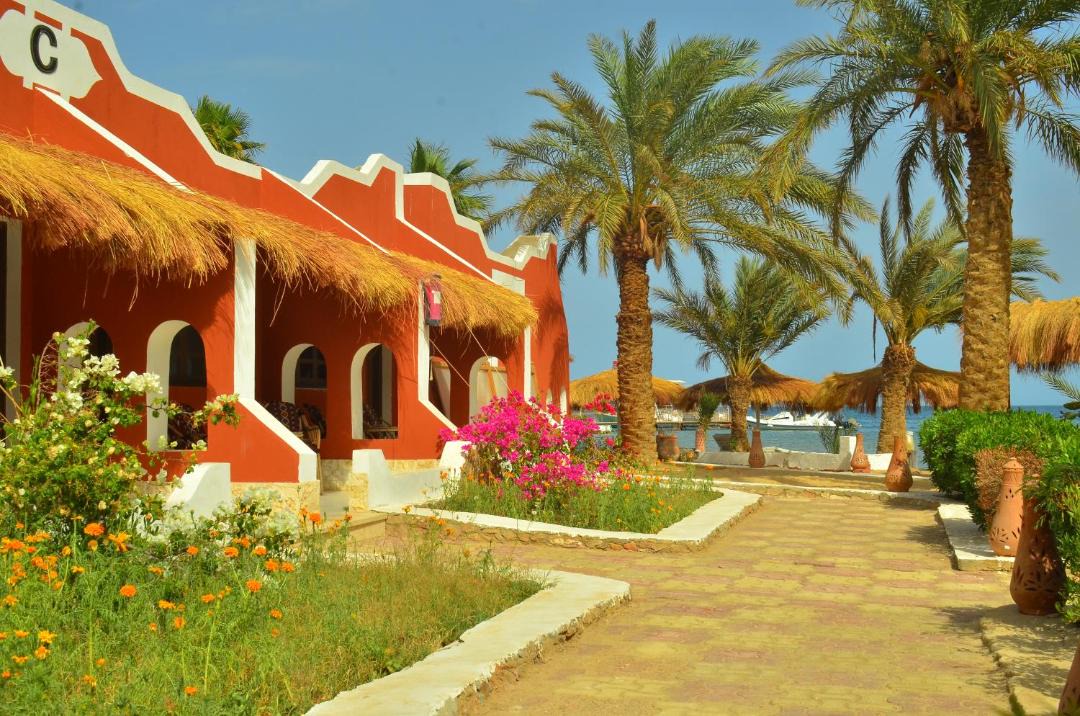 Photo of Others in Safaga