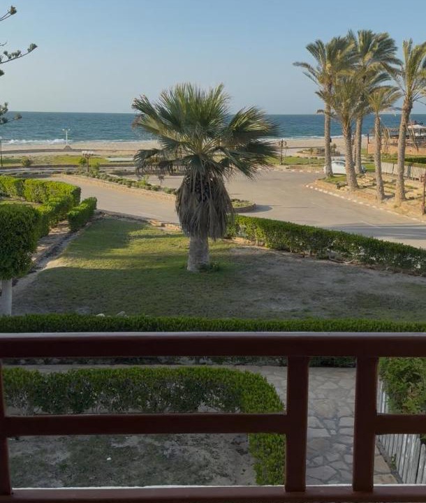 Photo of Others in Al Arish