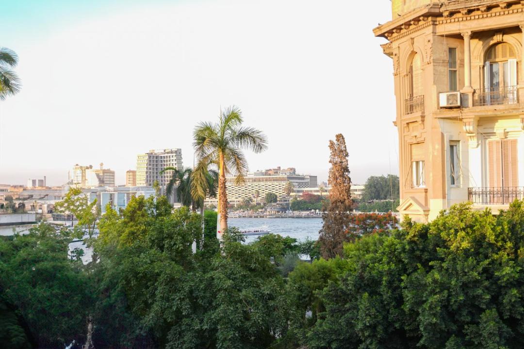 Photo of Others in Zamalek