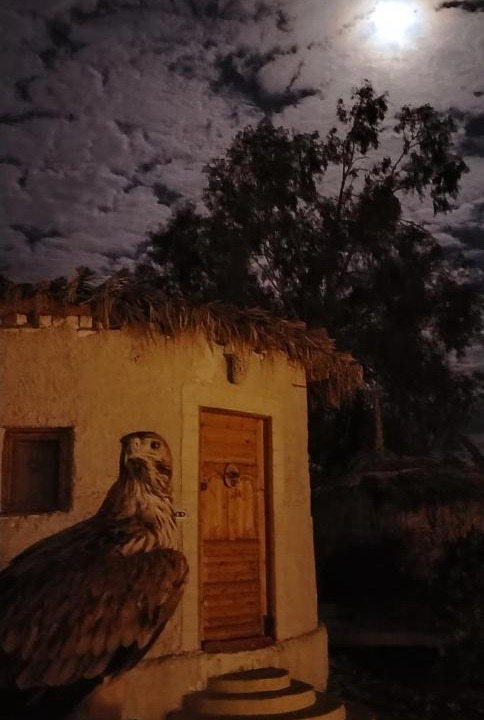 Photo of Others in Siwa