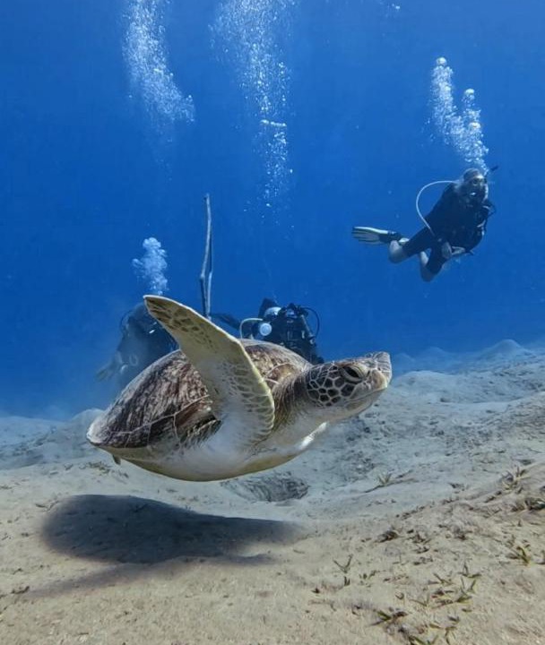 Photo of Others in Marsa Alam