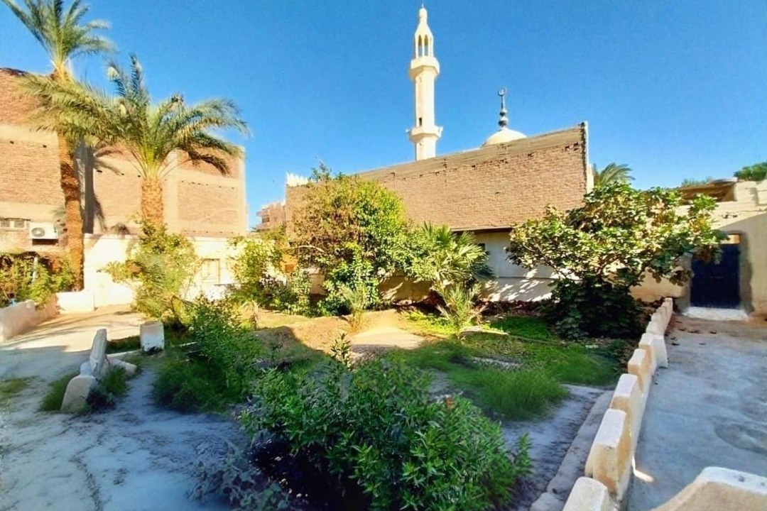 Photo of Others in Luxor