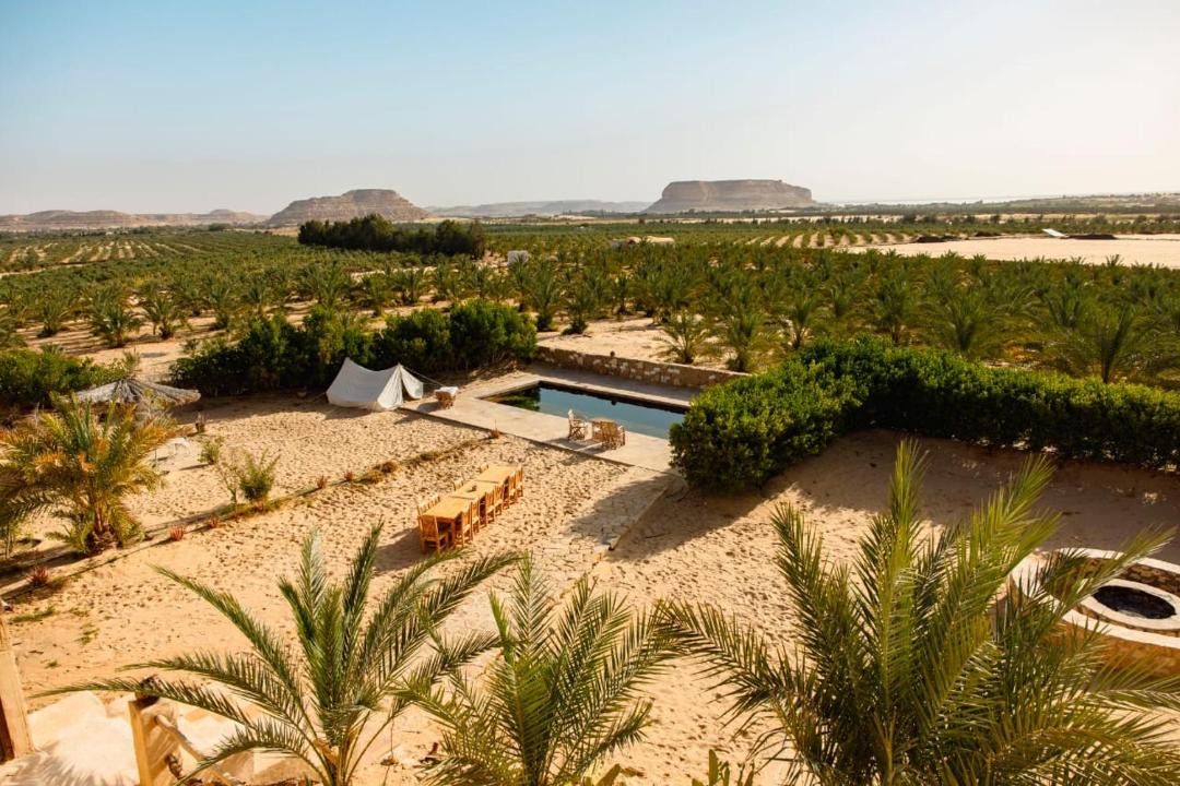 Photo of Others in Siwa