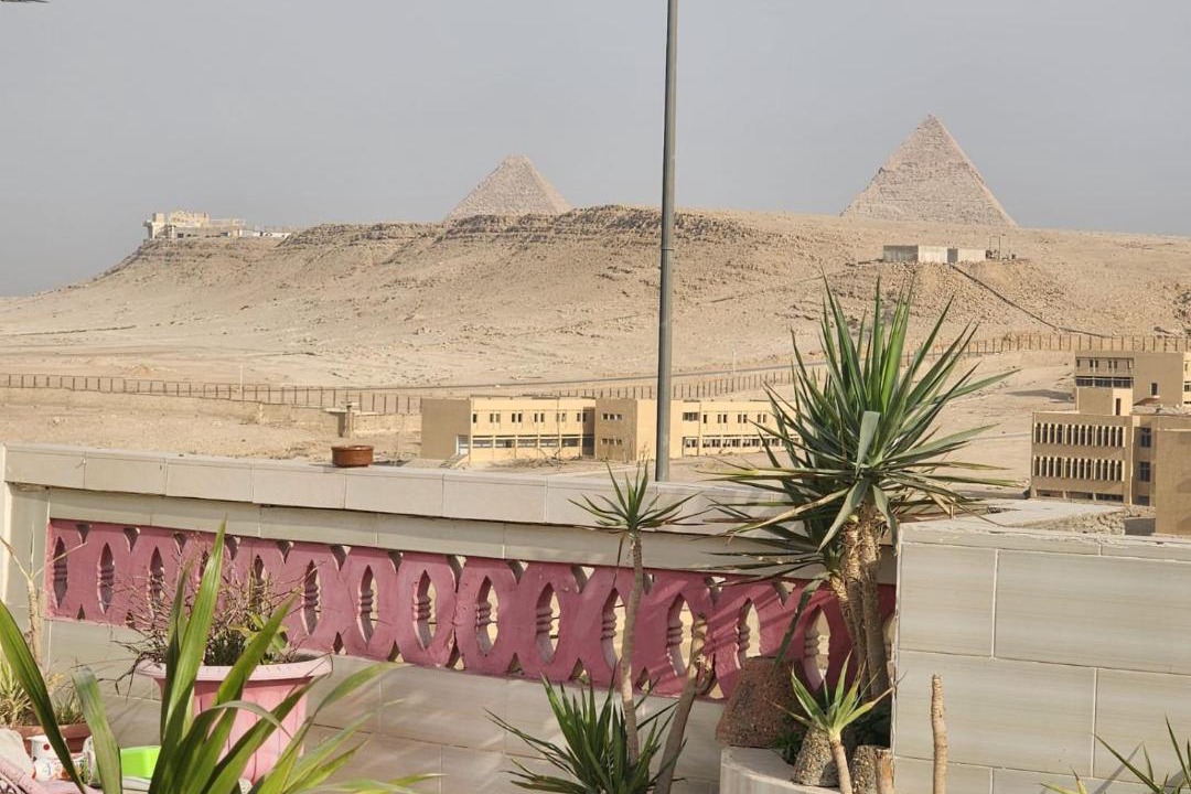 Photo of Others in Pyramids Gardens