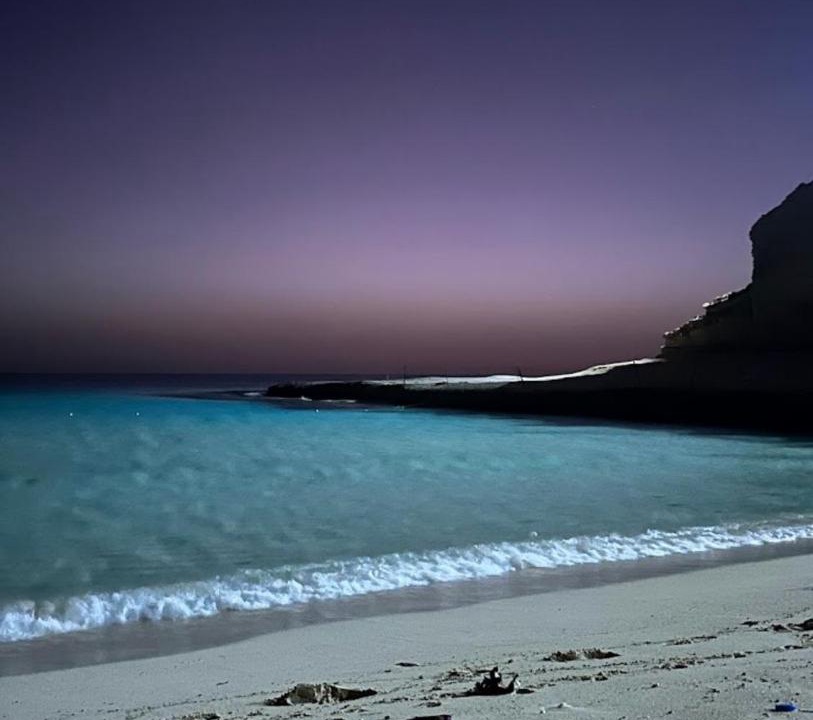 Photo of Others in Marsa Matruh