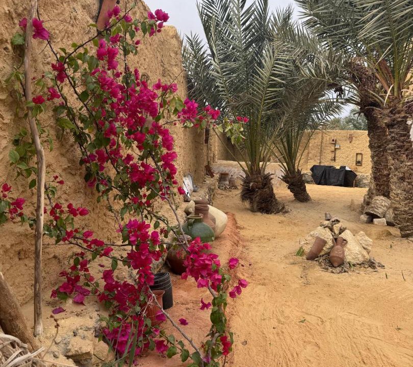 Photo of Others in Siwa