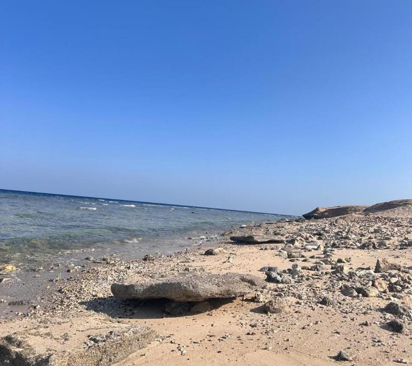 Photo of Others in Port Ghalib