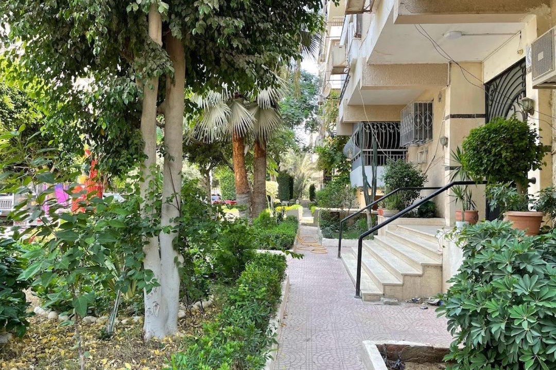 Photo of Others in Maadi
