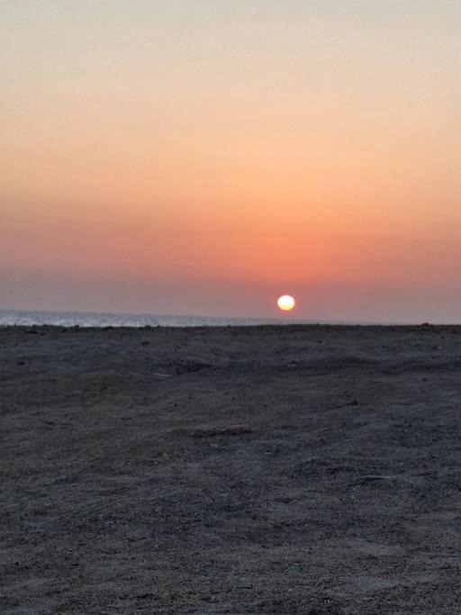 Photo of Others in Marsa Alam