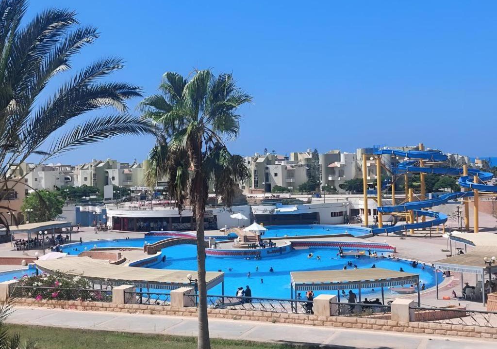 Photo of Others in Marina El Alamein