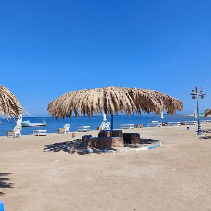 Photo of Others in Marsa Alam