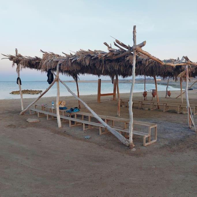 Photo of Others in Marsa Alam