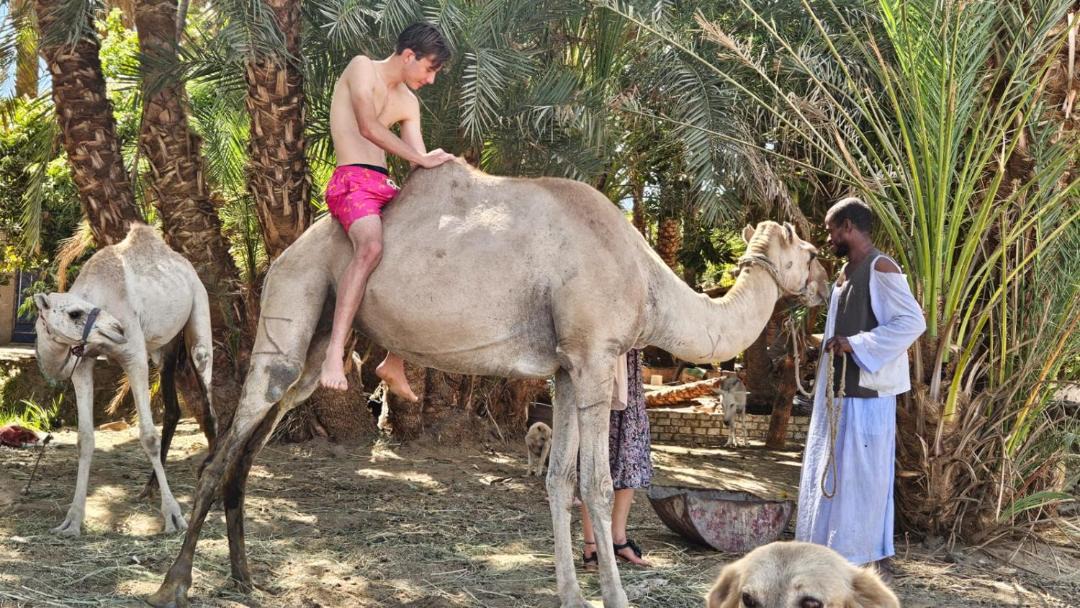 Photo of Others in Aswan