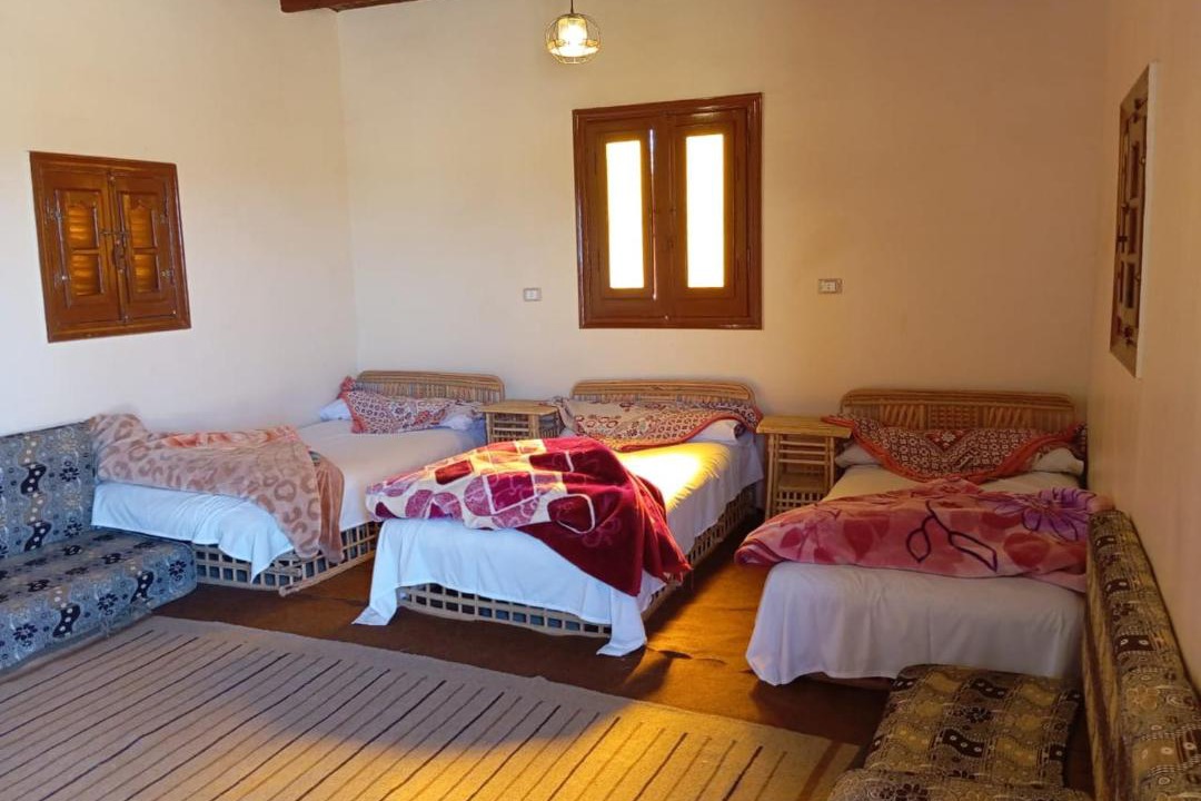 Photo of Others in Siwa