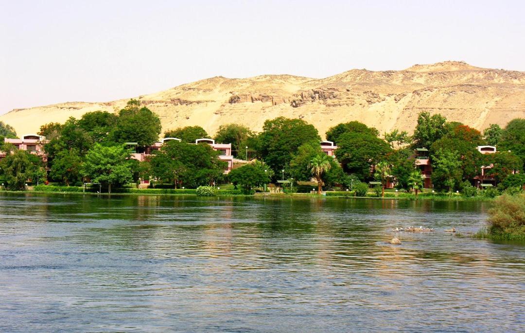 Photo of Others in Aswan