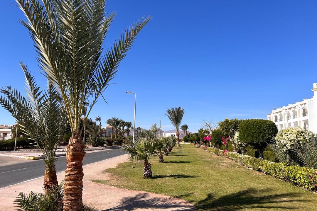 Photo of Others in Ras Nasrani