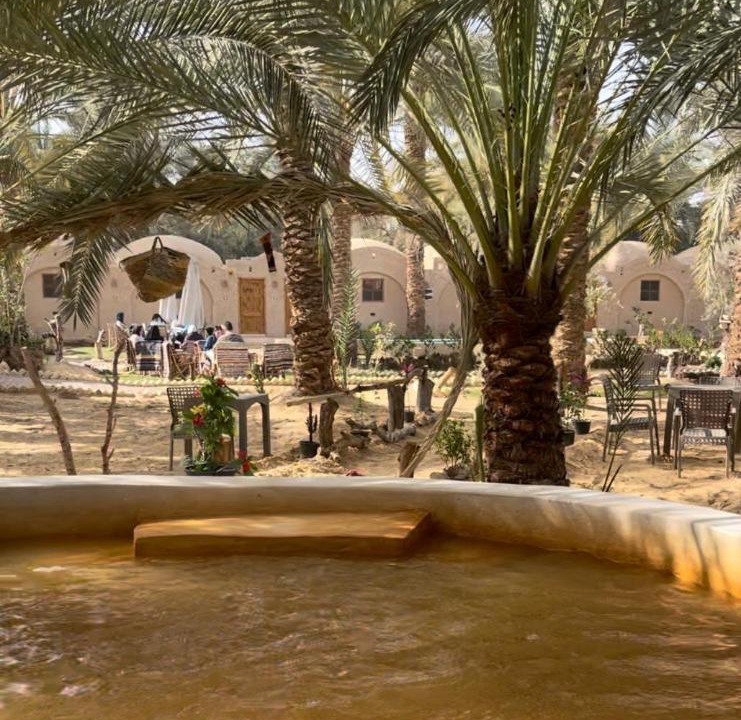 Photo of Others in Siwa