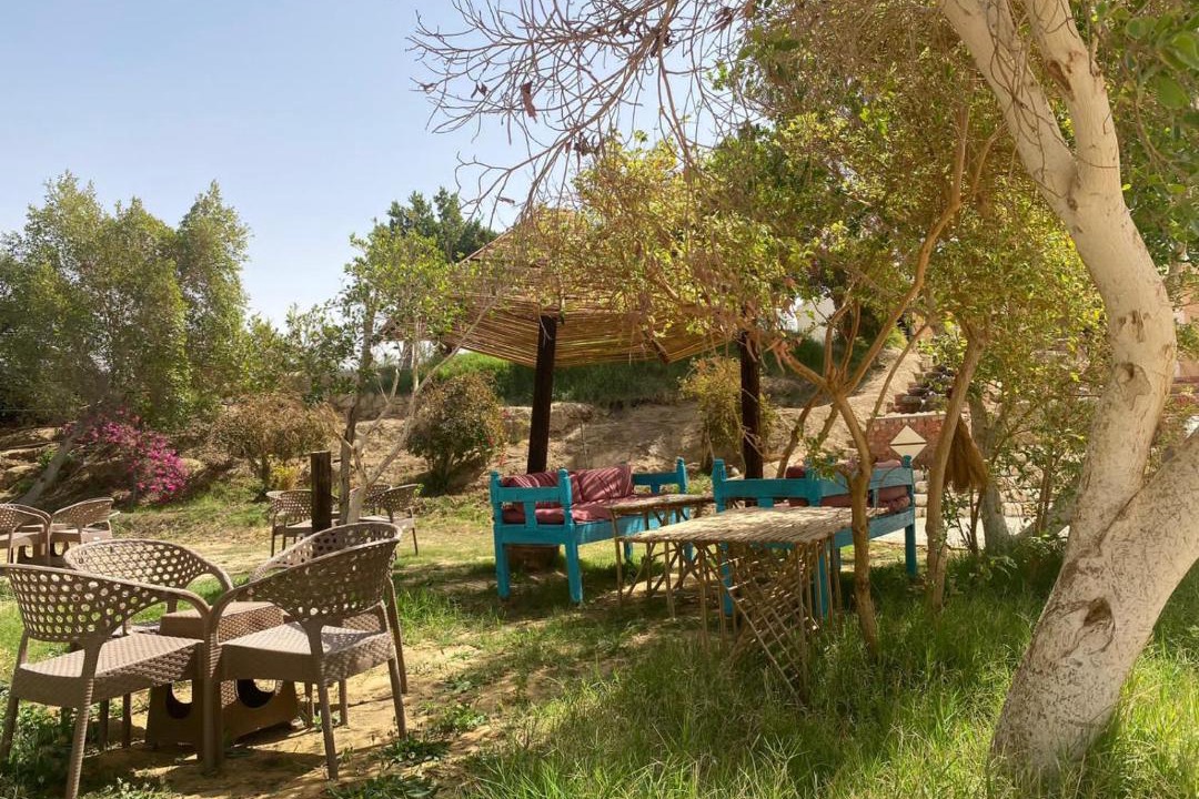 Photo of Others in Dakhla