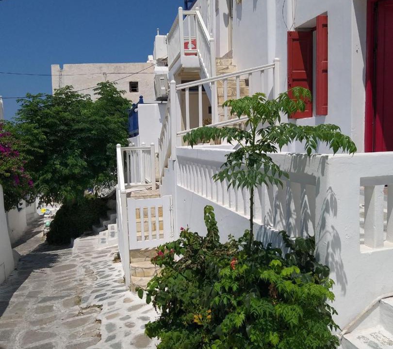 Photo of Others in Mykonos Town