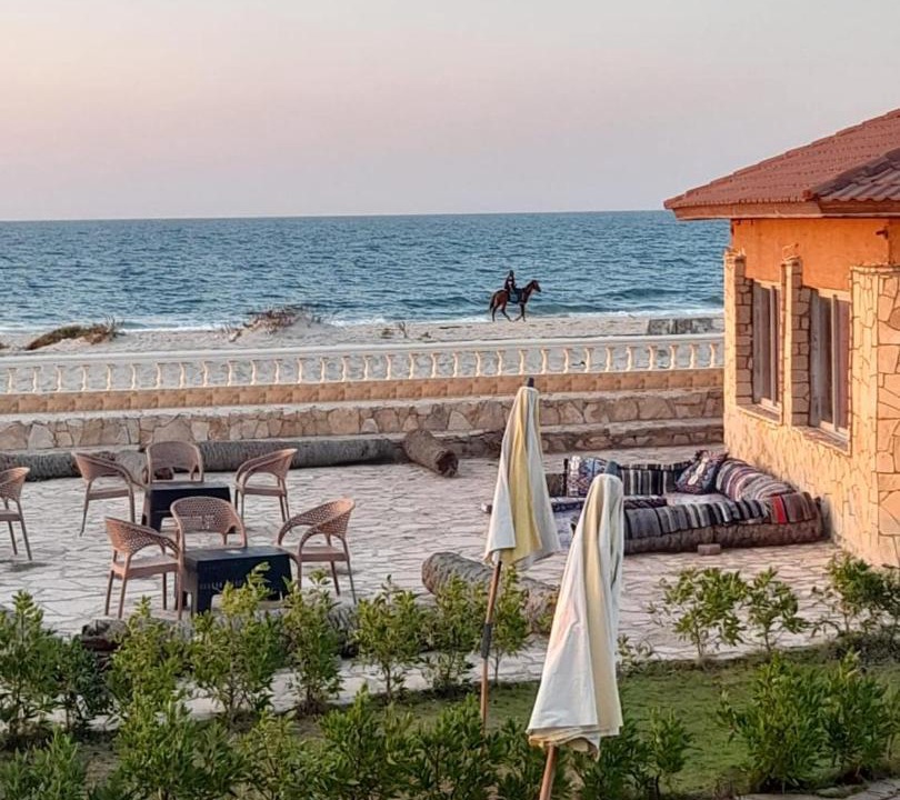 Photo of Others in Al Arish