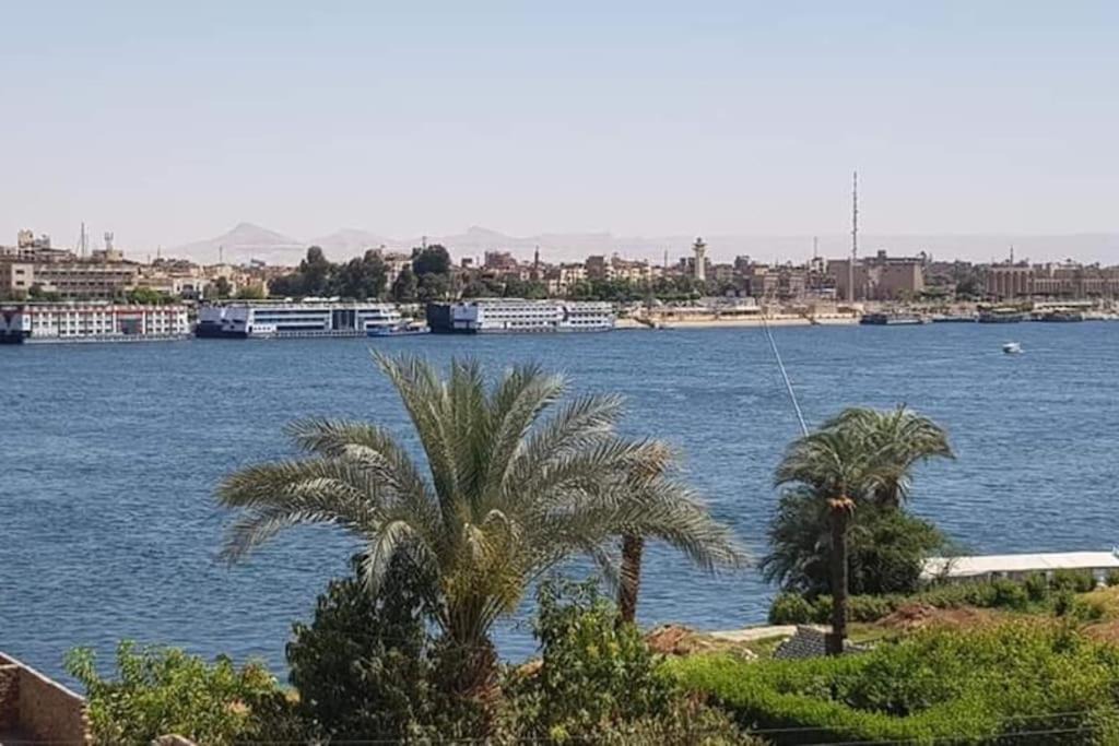 Photo of Others in Luxor