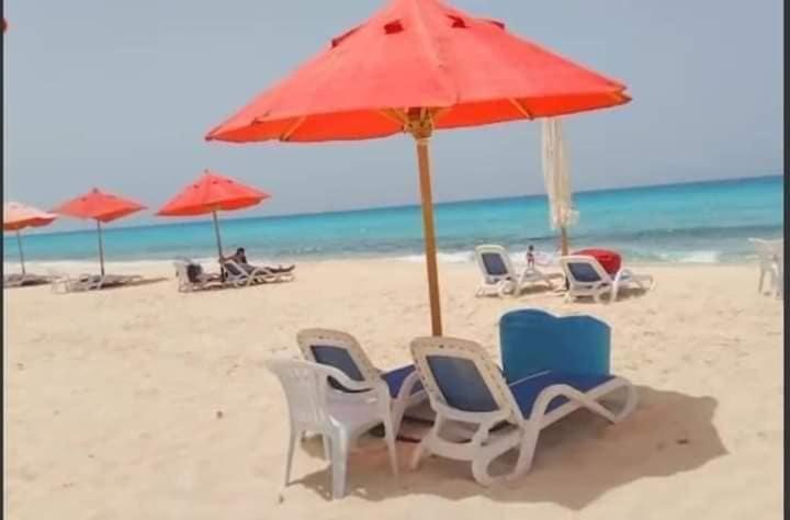 Photo of Others in Marina El Alamein