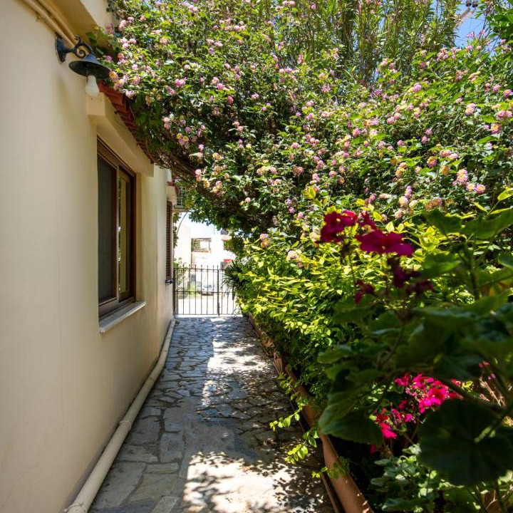 Photo of Others in Platanias Town