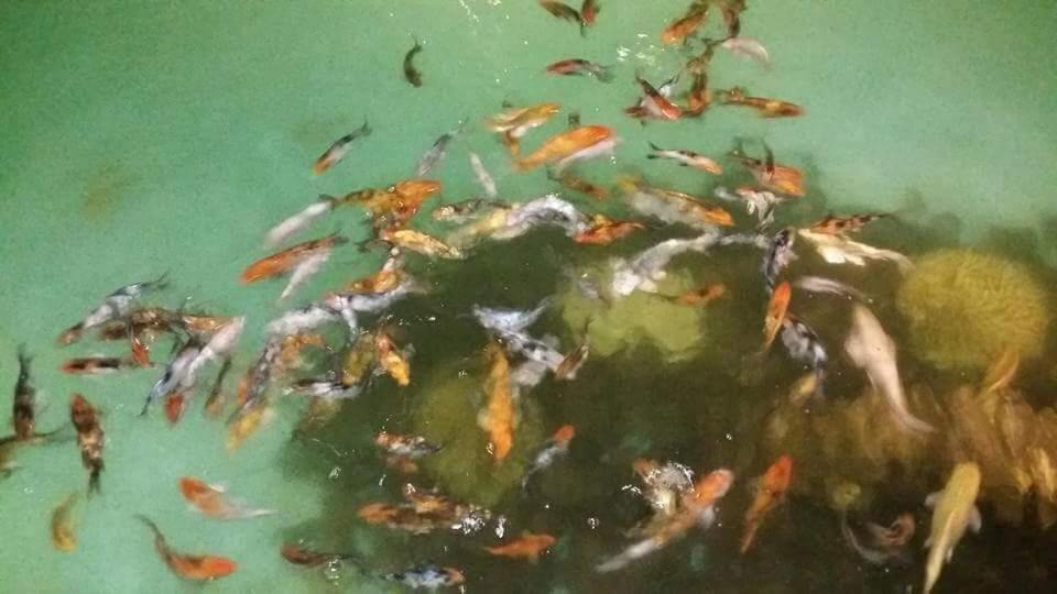 Photo of Others in Ain Sokhna