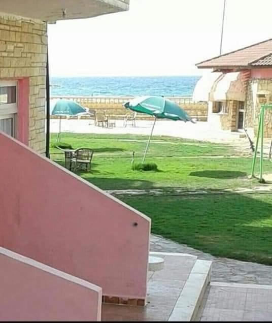 Photo of Others in Al Arish