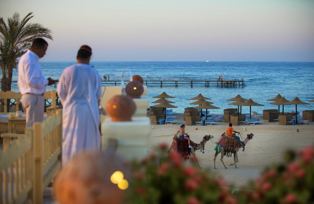 Photo of Others in Port Ghalib