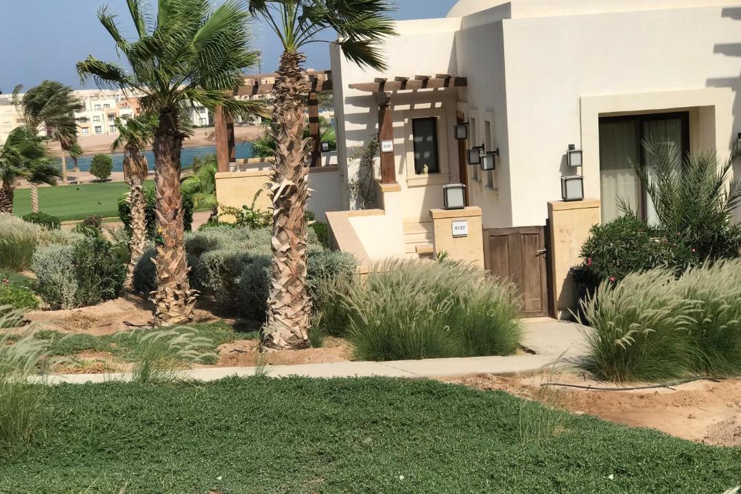 Photo of Buildings in El Gouna