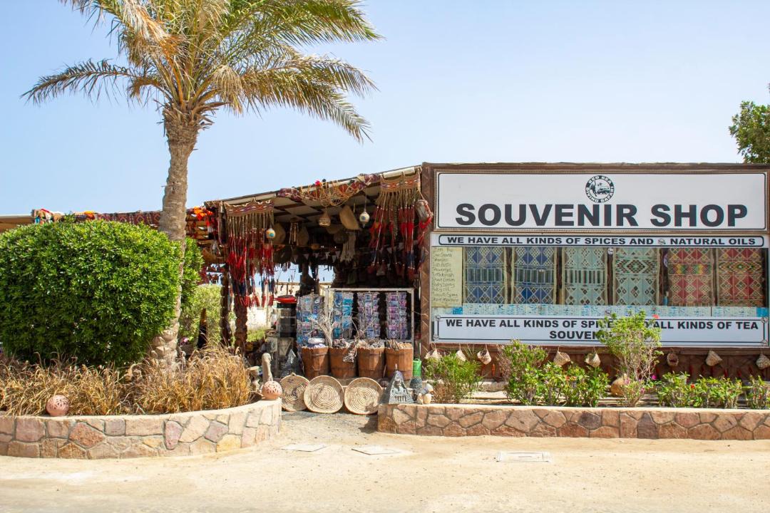Photo of Others in Marsa Alam