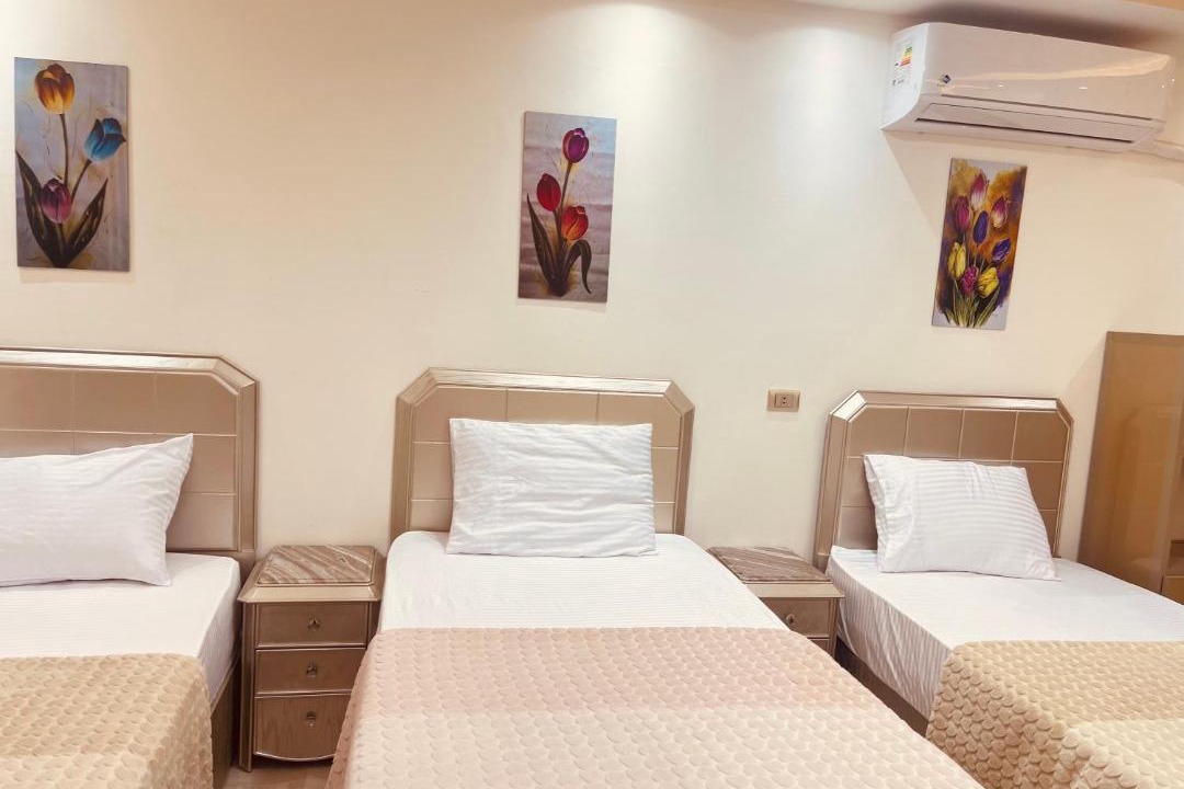 Photo of Bedroom in Mansoura