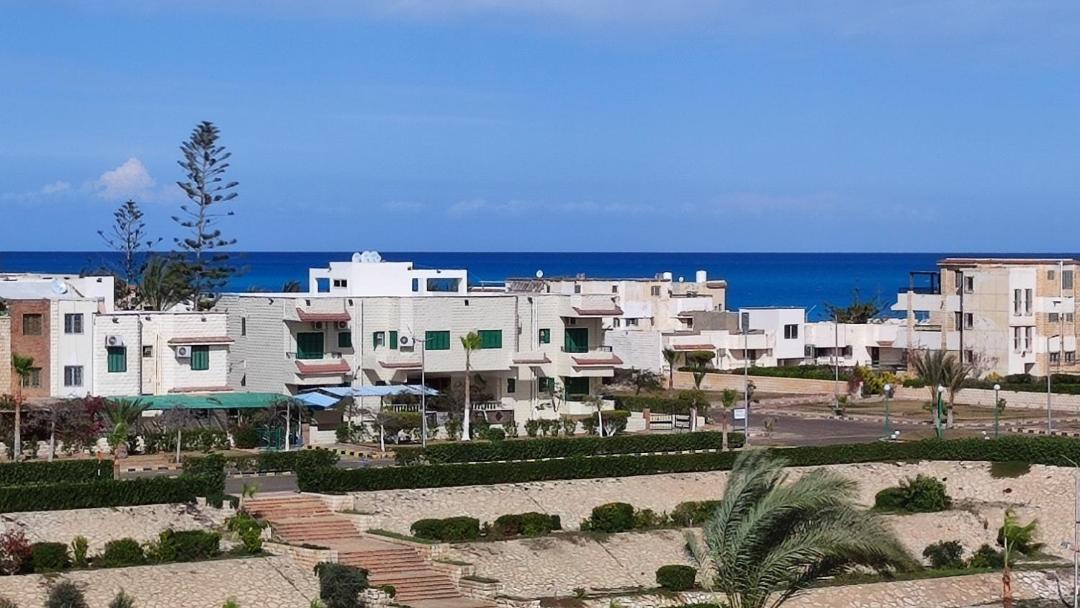 Photo of Others in Marina El Alamein