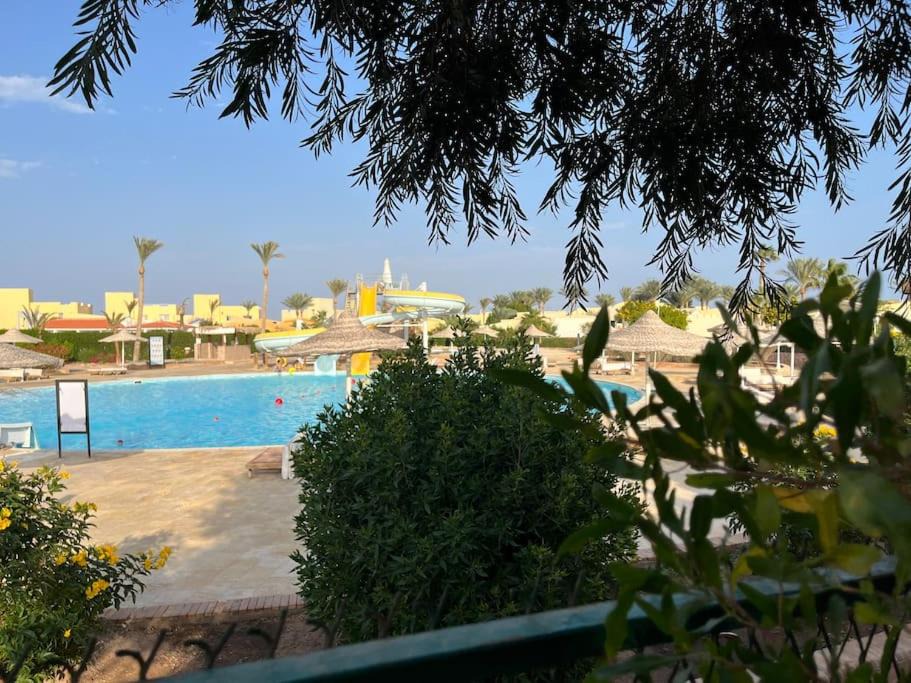 Photo of Others in Sharm El Sheikh
