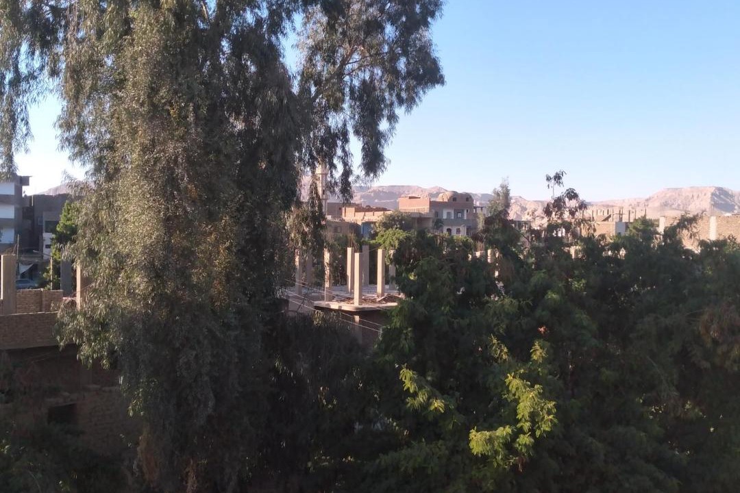 Photo of Others in Luxor