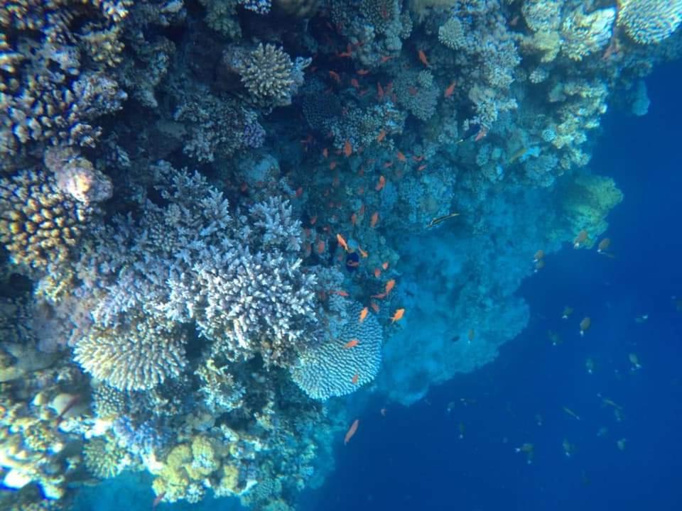 Photo of Others in St. Catherine