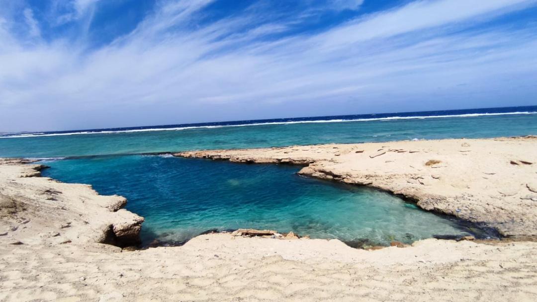 Photo of Others in Marsa Alam