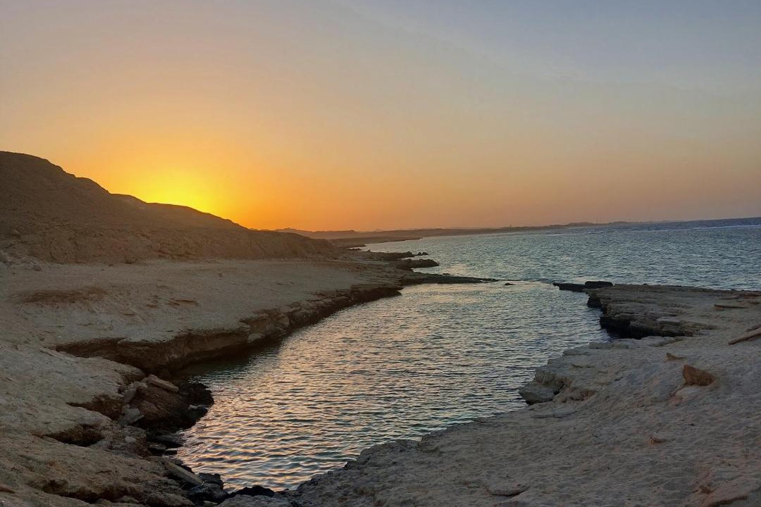 Photo of Others in Marsa Alam